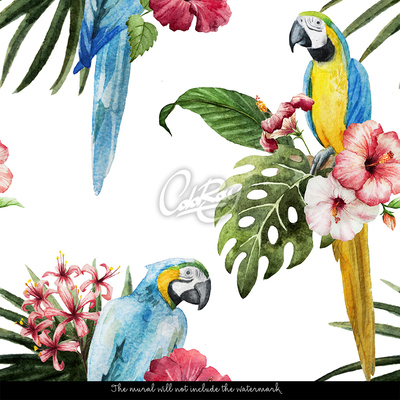 Fototapeta Lenivé papagáje medzi kvetinami