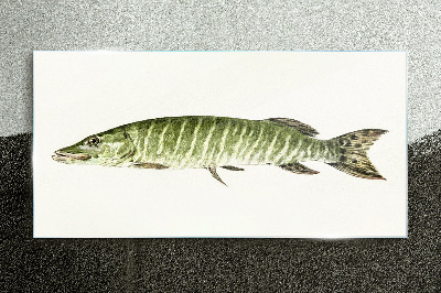 Obraz na skle Zvieracie ryby