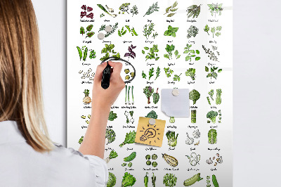 Magnetická tabuľa na kreslenie Zelená zelenina