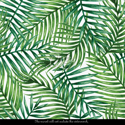 Fototapeta Príjemný odtieň palmových listov