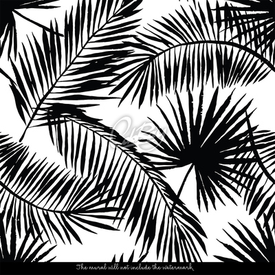 Fototapeta Čierne a biele palmové listy