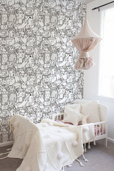 Fototapeta Mačacie krajiny