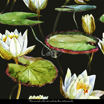 Fototapeta Úžasné lotosové kvety