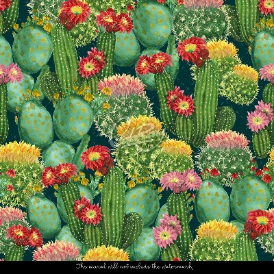 Fototapeta Skvelé kaktusy