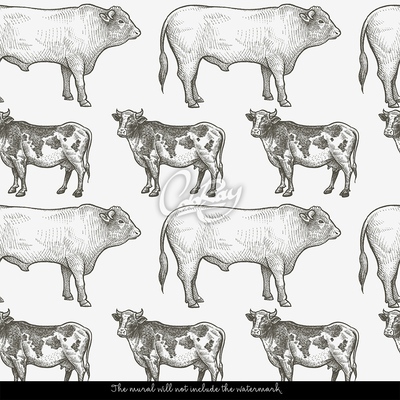 Fototapeta Zdravá krava, zdravý býk