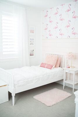 Fototapeta Svet plameniakov