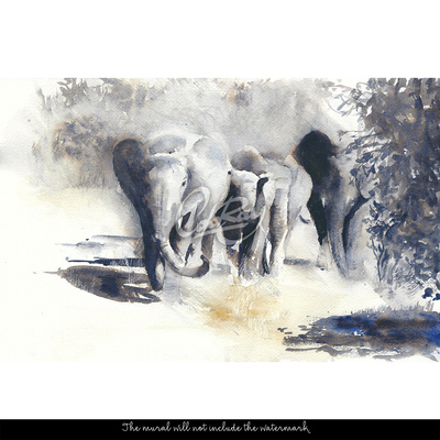 Fototapeta Putovanie slonov