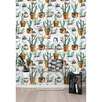 Fototapeta Kaktusy v hrncov