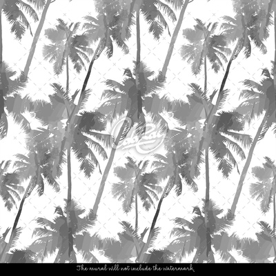 Fototapeta Tieň sivích palm