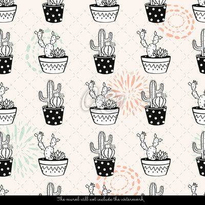 Fototapeta Veselé kaktusy v kvetináčoch