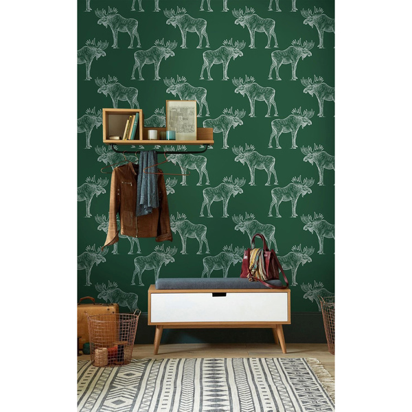 Fototapeta Zjavne niekto raz videl losa na bicykli