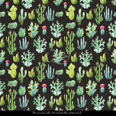 Fototapeta Drobné kaktusy na čiernom pozadí