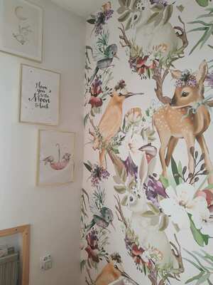 Fototapeta Okúzlený les