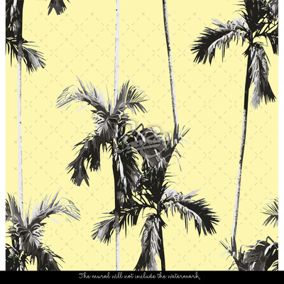 Fototapeta Príjemné chladenie listy paradiských palm