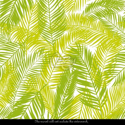 Fototapeta Seledic palmové listy