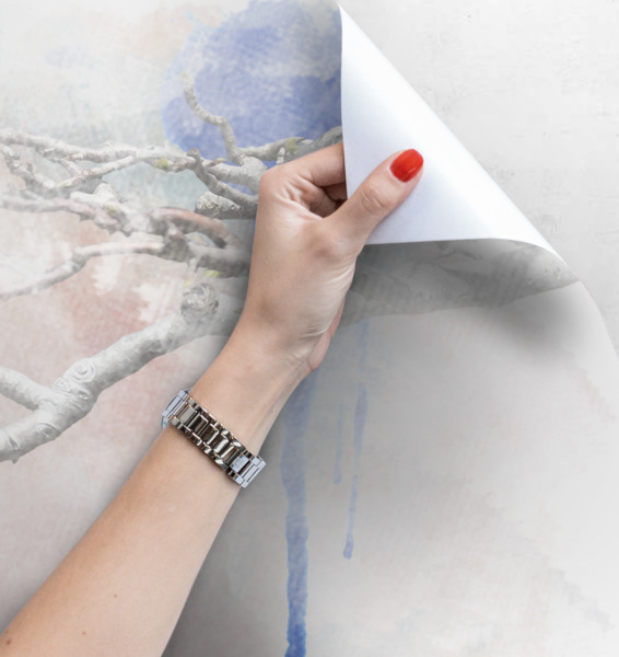 Fototapeta Vtáčie konverzácie