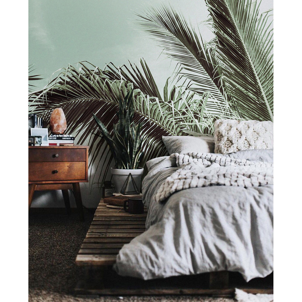 Fototapeta Palma pestuje tu