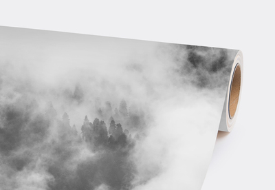 Fototapeta Zahalený v hmle