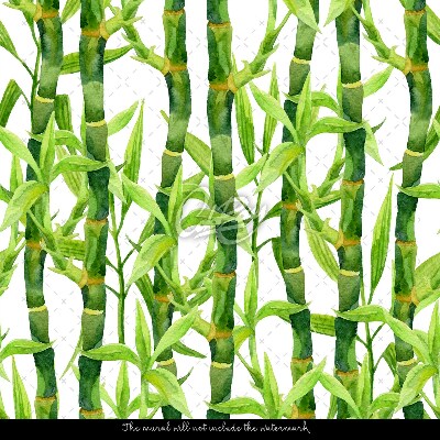 Fototapeta V začarovanom bambusovom lese