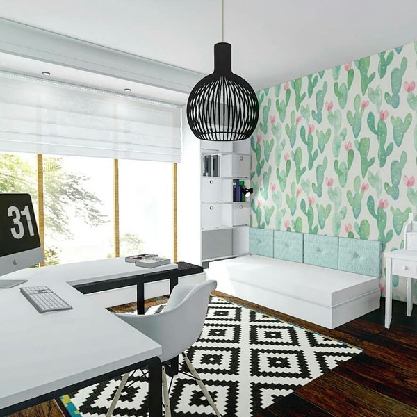 Fototapeta Kaktusy bez tŕňov