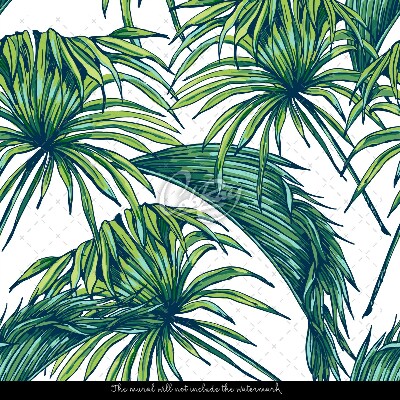 Fototapeta Šťavnaté zelené palmové listy