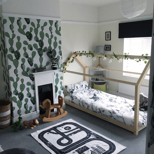 Fototapeta Kaktusový obrázok