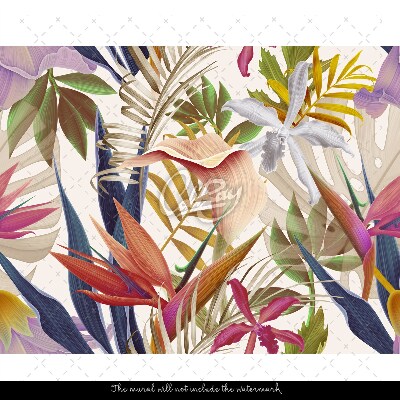 Fototapeta Exotická dúha