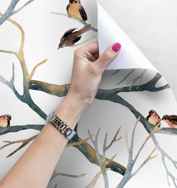 Fototapeta Vrabce na vetvách