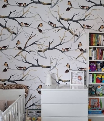 Fototapeta Vrabce na vetvách