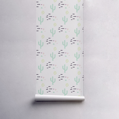 Fototapeta Minimalistický kaktus