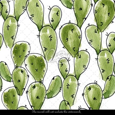 Fototapeta Kreslený mexický kaktus