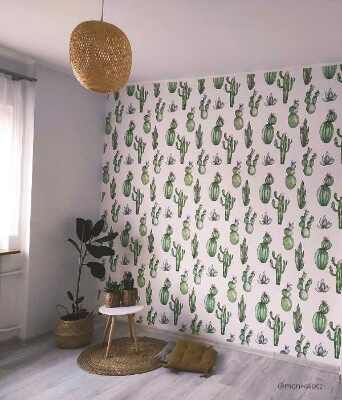 Fototapeta Kaktusové pole