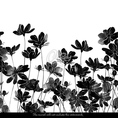 Fototapeta Elegantné čierne kvety