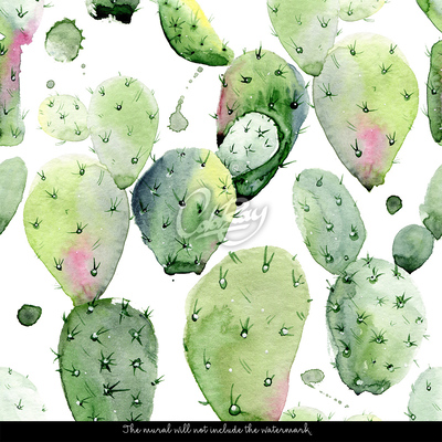 Fototapeta Osviežujúci sila kaktusu