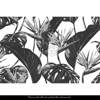 Fototapeta Monochromatický tropický list
