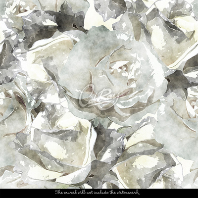 Fototapeta Abstrakcie na tému bielych ruží