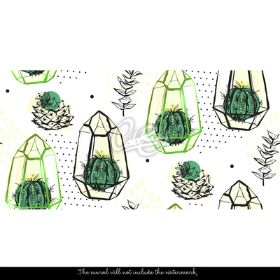 Fototapeta Kaktusové lucerny
