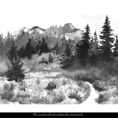 Fototapeta Tmavý les v hmle