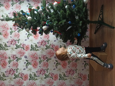 Fototapeta Za dávnych časov v rozprávkovej záhrade