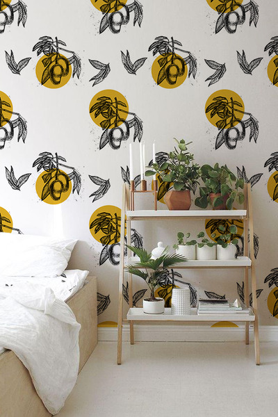 Fototapeta Tropické ovocie