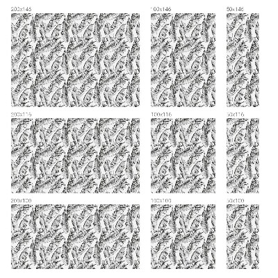 Fólia na sklo na ochranu súkromia Tropické listy