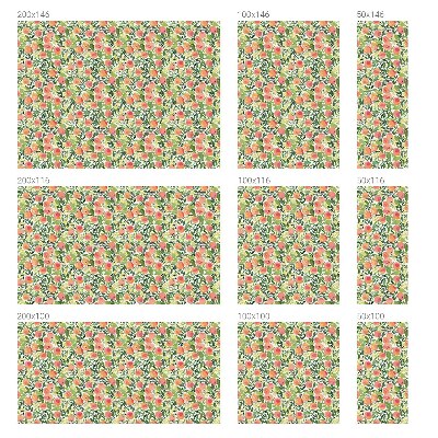 Samolepiaca fólia na sklo vitrážová Ovocný vzor