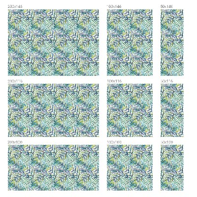 Nepriehľadná fólia na okno Tropický akvarel