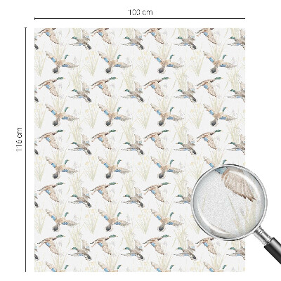 Samolepiaca fólia na sklo vitrážová Vtáky príroda