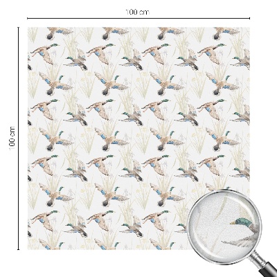 Samolepiaca fólia na sklo vitrážová Vtáky príroda