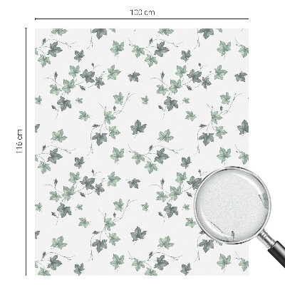 Fólia na sklo na ochranu súkromia Zelený vinič