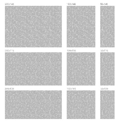 Fólia na sklo na ochranu súkromia Listová elegancia