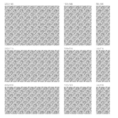 Samolepiaca fólia na sklo vitrážová Klasické portréty