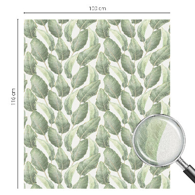 Ochranná fólia na sklo vitráž Zelené listy