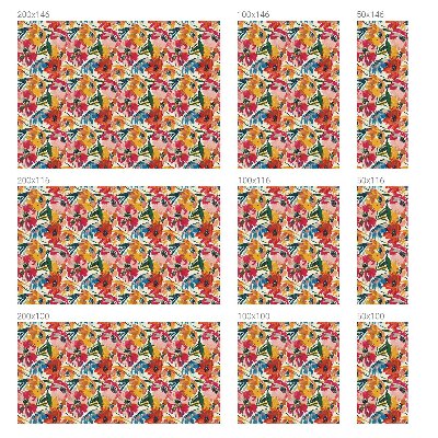 Matná fólia na okno vitráž Výbuch kvetu